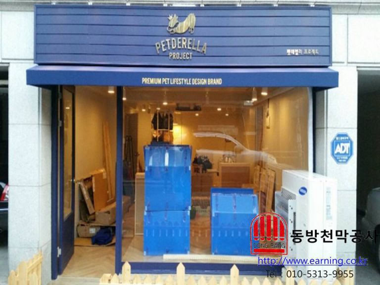 펫데렐라 프로젝트 고정어닝